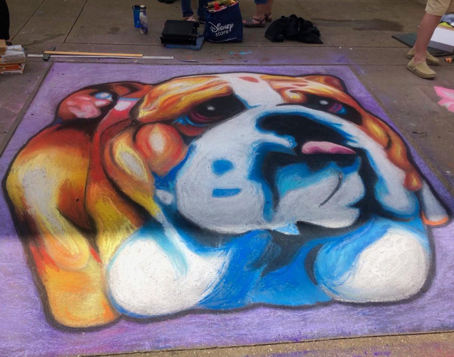Bearden contributed this colorful bulldog to the Dogwood Festivals Chalk Walk on April 6.