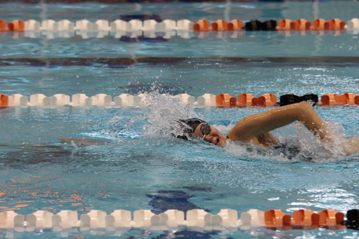 Senior Alina Hafner is one of many Bearden swimmers competing in this weekends state meet.