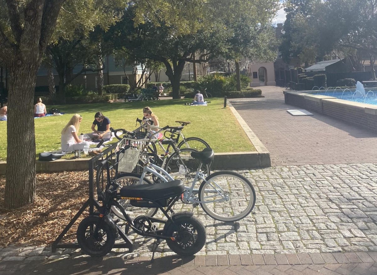 The campus of the College of Charleston has a much different feel from the schools in East Tennessee.