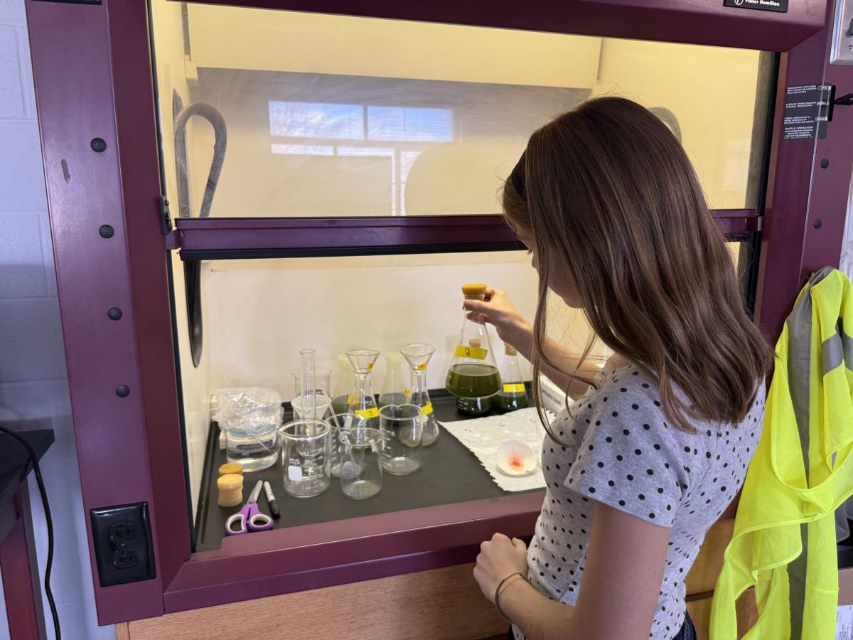 Senior Olivia McClure is investigating algae's capacity for breaking down microplastics for her AP Research project. Many students' research method involves a survey, and Bearden students are encouraged to use the QR codes in the West Mall to participate.